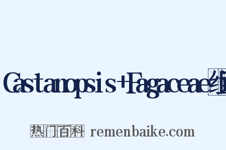 Castanopsis+Fagaceae组词是什么意思的图片